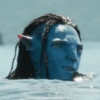 AVATAR #1 13