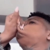 Papagallo 24