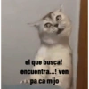Animales ramdom 17