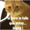 Animales ramdom 18