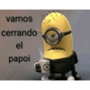 Papagallo 13