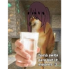 No seas pelotuda xd 16