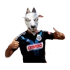 Chivas 12