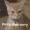 Papagallo 16
