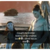Avatar 6
