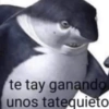 Momos 21