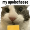 Silly cat memes 29