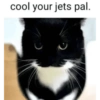 Silly cat memes 21