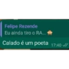 Bruno  26