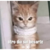 Memes animada mix 30