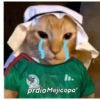 Nuevos 14