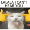Silly cat memes 20