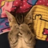 Gatitos 🥰 5