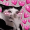 Muito amor  5