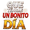 Solo Mundial 10