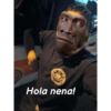 Nuevos 11