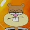 🧿Memes Bob Esponja 🪸🧽🐙 29