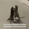 Respuestas random 💋 10