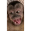 Nao sei  13