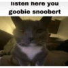 Silly cat memes 28