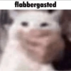 Silly cat memes 22
