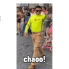 Nuevos 23
