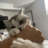 Gatitos 🥰 6