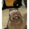 Nao sei  10