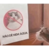 Estaticos q amo 28