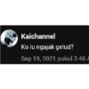 Wp Random 19