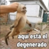 Reacciones  9