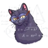 Black Cat 11