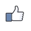 Facebook likes 12