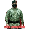 Siap 22