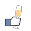 Facebook likes 9