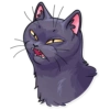 Black Cat 8