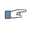 Facebook likes 11