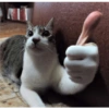 Shitpost emoji 23