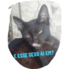 Aita 2.0 18