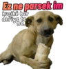 MOOD on Kurdî 23