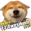 MOOD on Kurdî 24