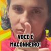 Festa PX 5