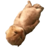 🐱•🩶Michis🩶•🐱 7
