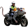 Memes Canon 26