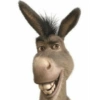 Sherk y burro 12