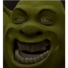 Sherk y burro 5