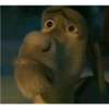 Sherk y burro 11