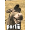 Sherk y burro 10