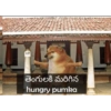 Twitter 5 19