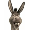 Sherk y burro 13